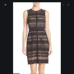 Chelsea28 black lace cutout mini dress- medium